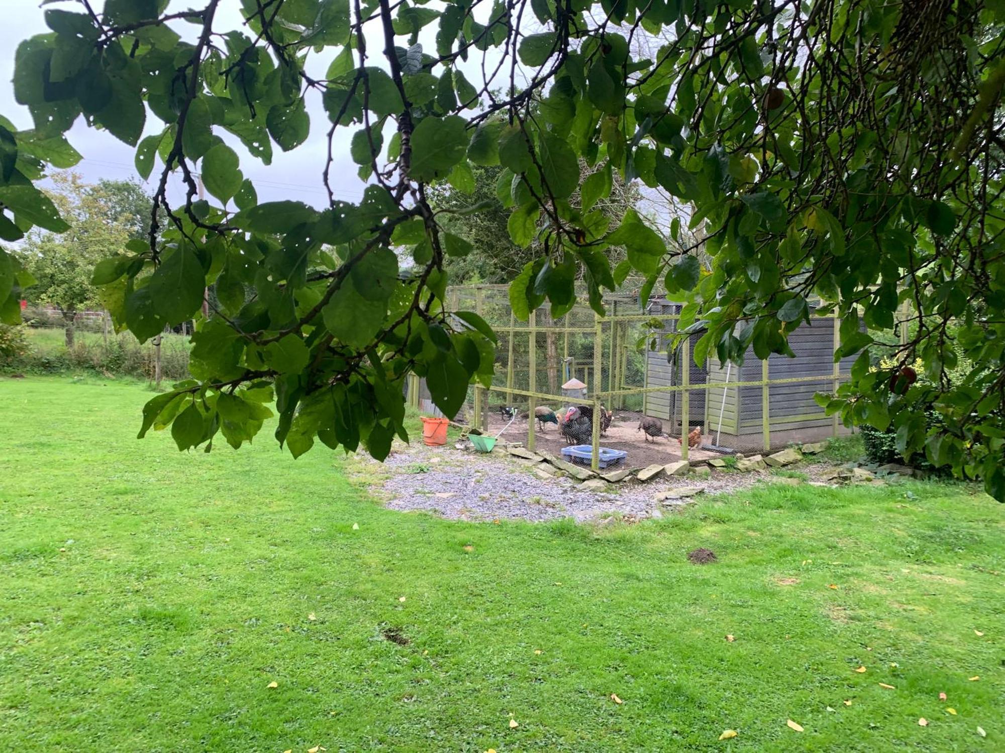 Stunning 2-Bed Cabin In Nantglyn Denbigh Exterior photo