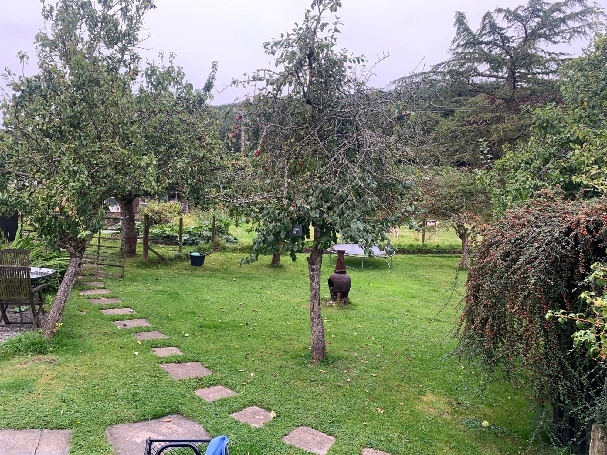 Stunning 2-Bed Cabin In Nantglyn Denbigh Exterior photo
